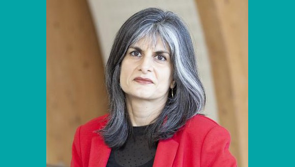 Professor Parveen Yaqoob