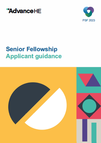 Applicant guidance - Senior Fellowship February 2023